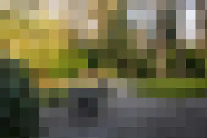 Koningin Emmalaan 8 Ermelo thumbnail 46