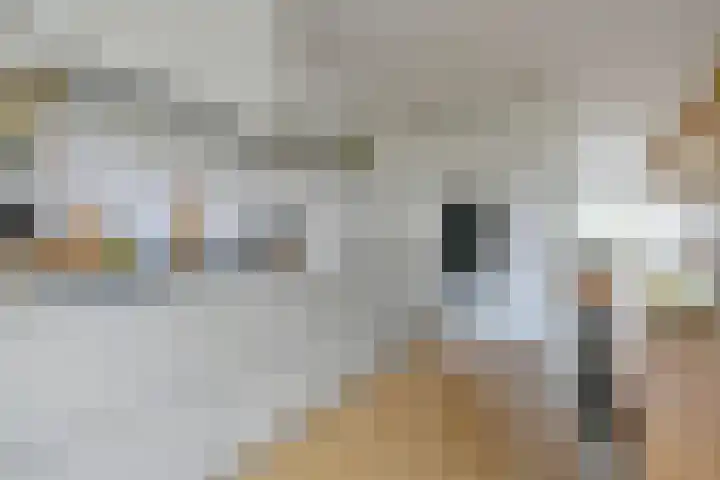 Koningin Emmalaan 8 Ouderkerk aan de Amstel thumbnail 6