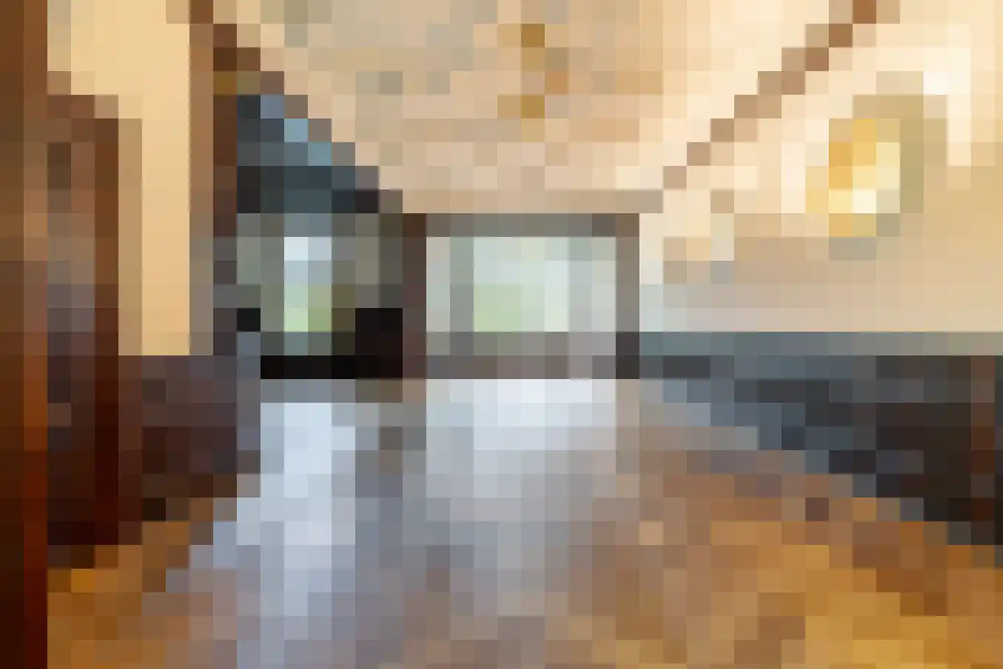 Koningin Emmaplein 15 D Rotterdam thumbnail 5