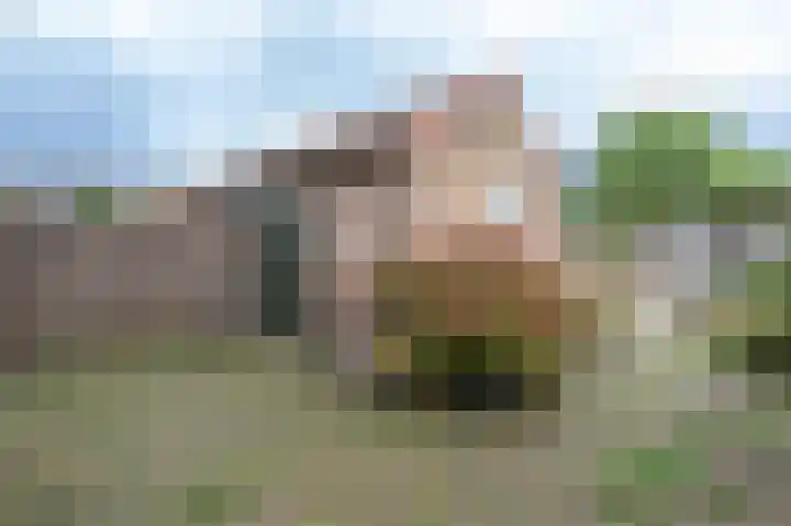 Koningin Emmaplein 19 Den Bommel thumbnail 25