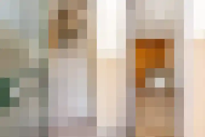 Koningin Emmaplein 9 Den Bommel thumbnail 6
