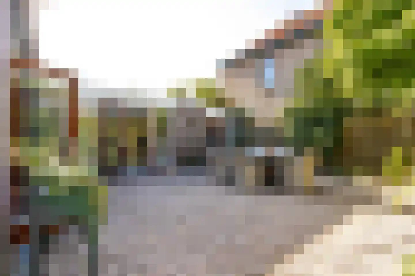 Koningin Emmastraat 11 Gorinchem thumbnail 19