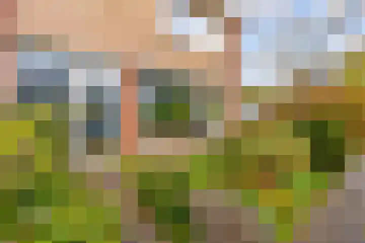 Koningin Emmastraat 15 Bunnik thumbnail 4
