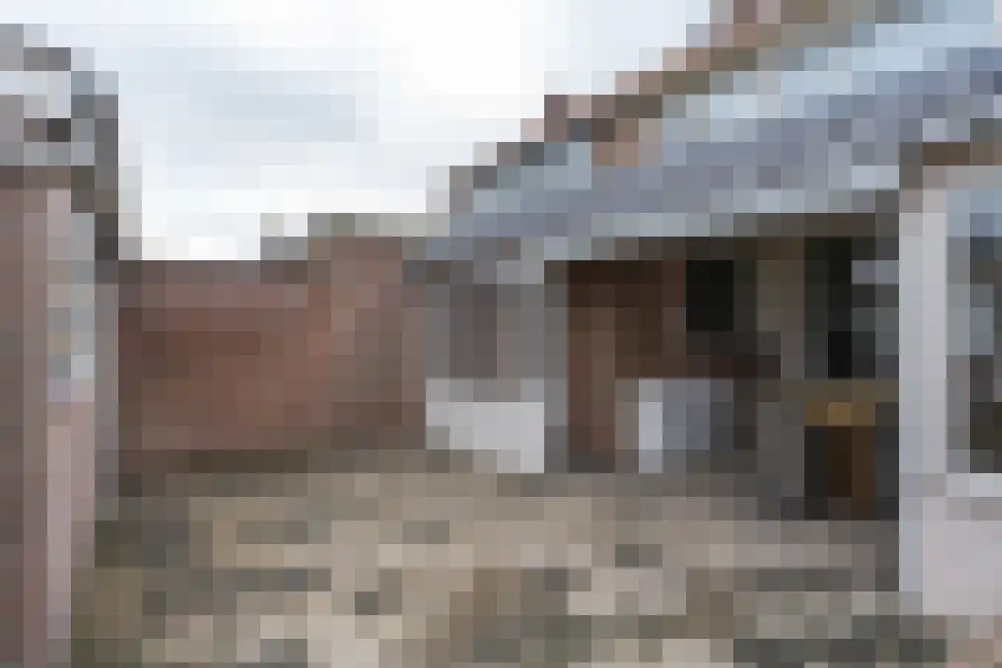 Koningin Emmastraat 18 Aalst thumbnail 25