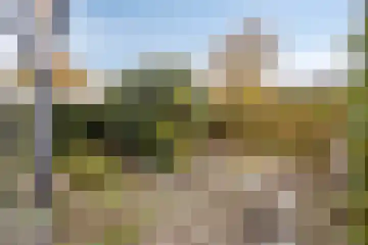 Koningin Emmastraat 20 Buren thumbnail 5