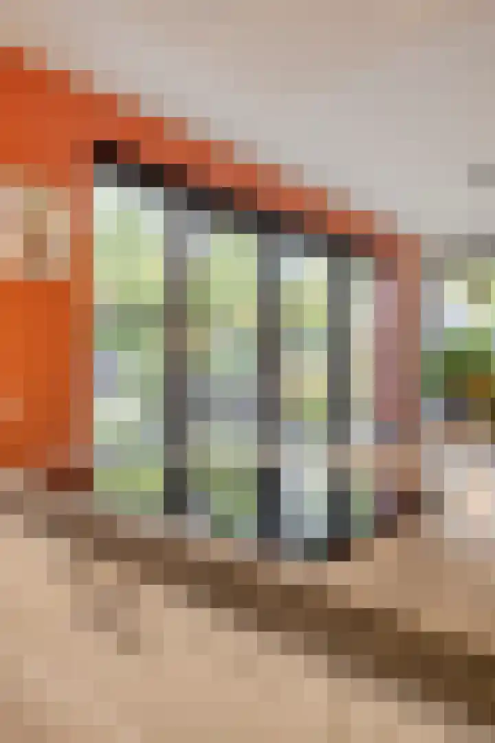 Koningin Emmastraat 21 Berkel-Enschot thumbnail 19