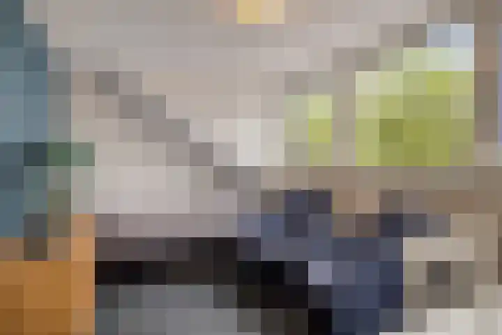 Koningin Emmastraat 21 Berkel-Enschot thumbnail 30
