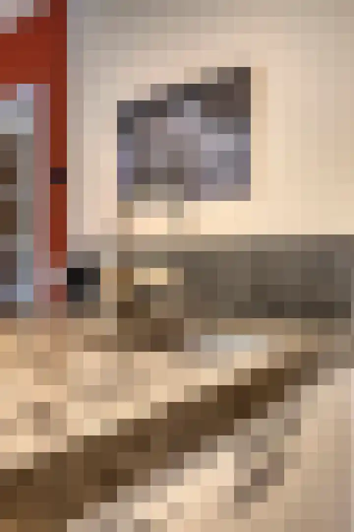 Koningin Emmastraat 21 Berkel-Enschot thumbnail 35
