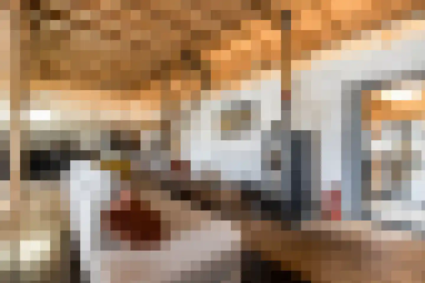 Koningin Emmastraat 4 Andel thumbnail 10