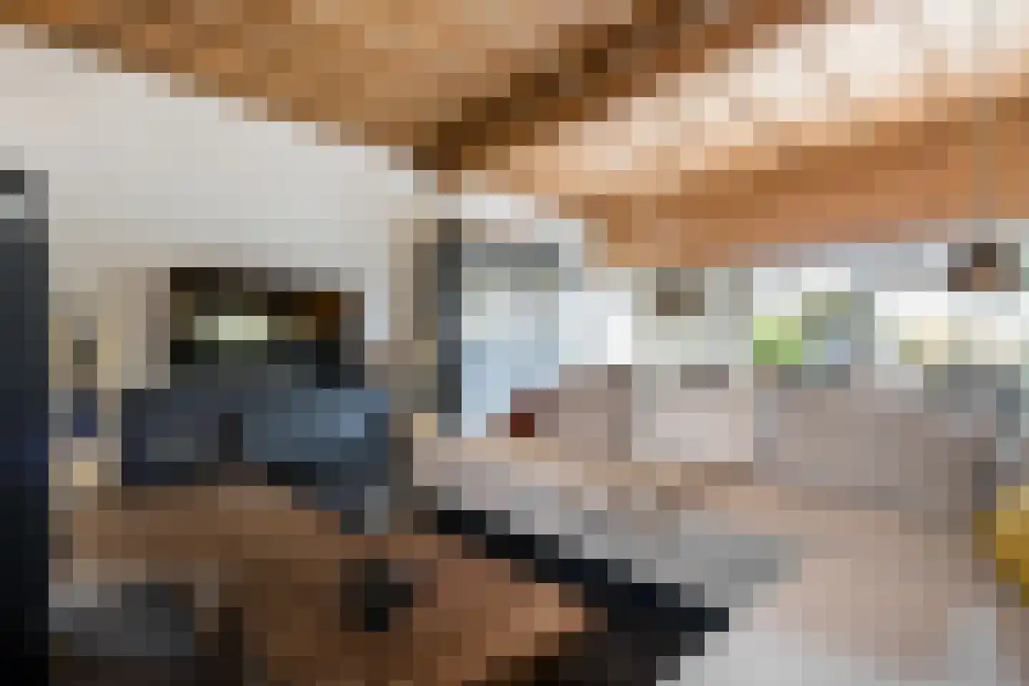 Koningin Emmastraat 4 Andel thumbnail 11