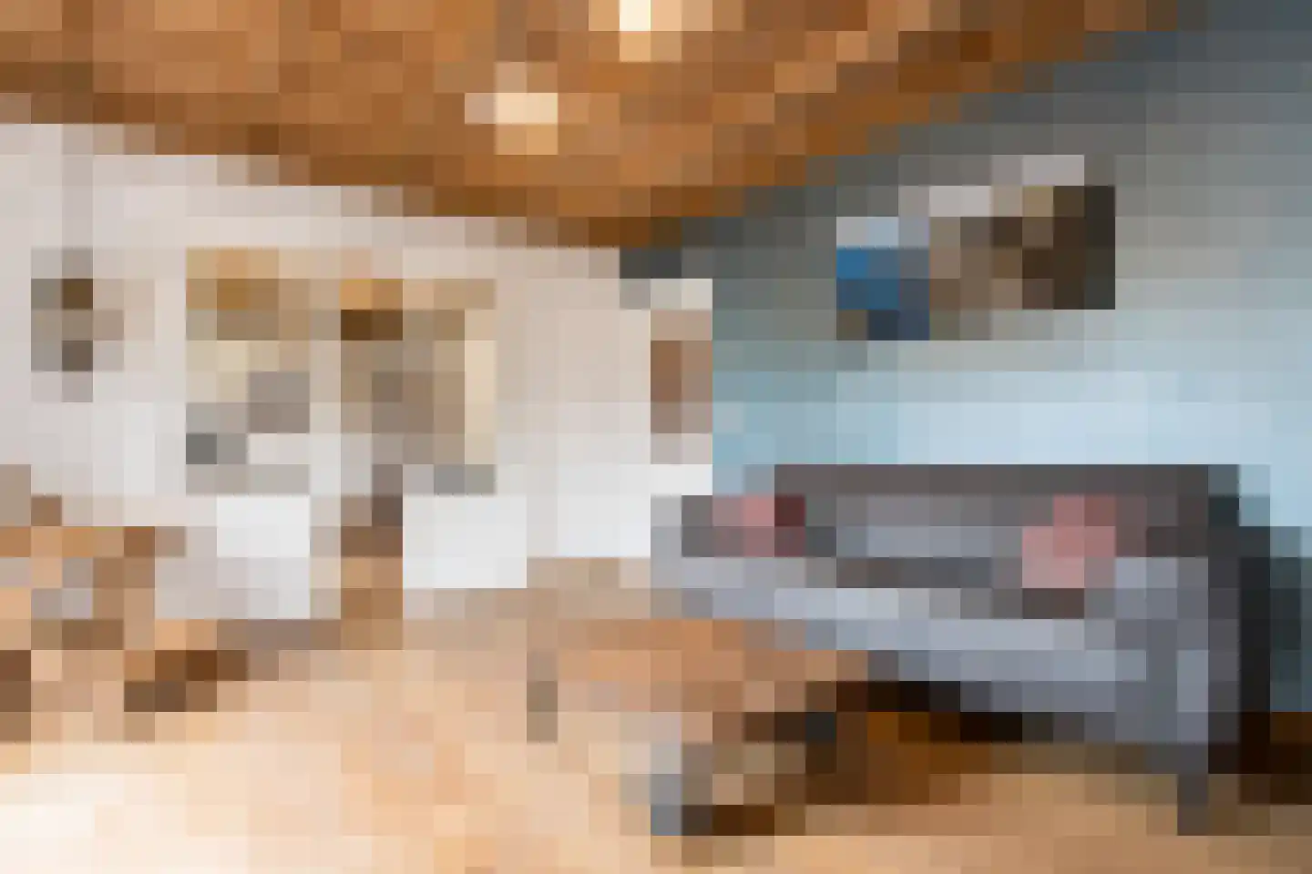 Koningin Emmastraat 4 Andel thumbnail 18
