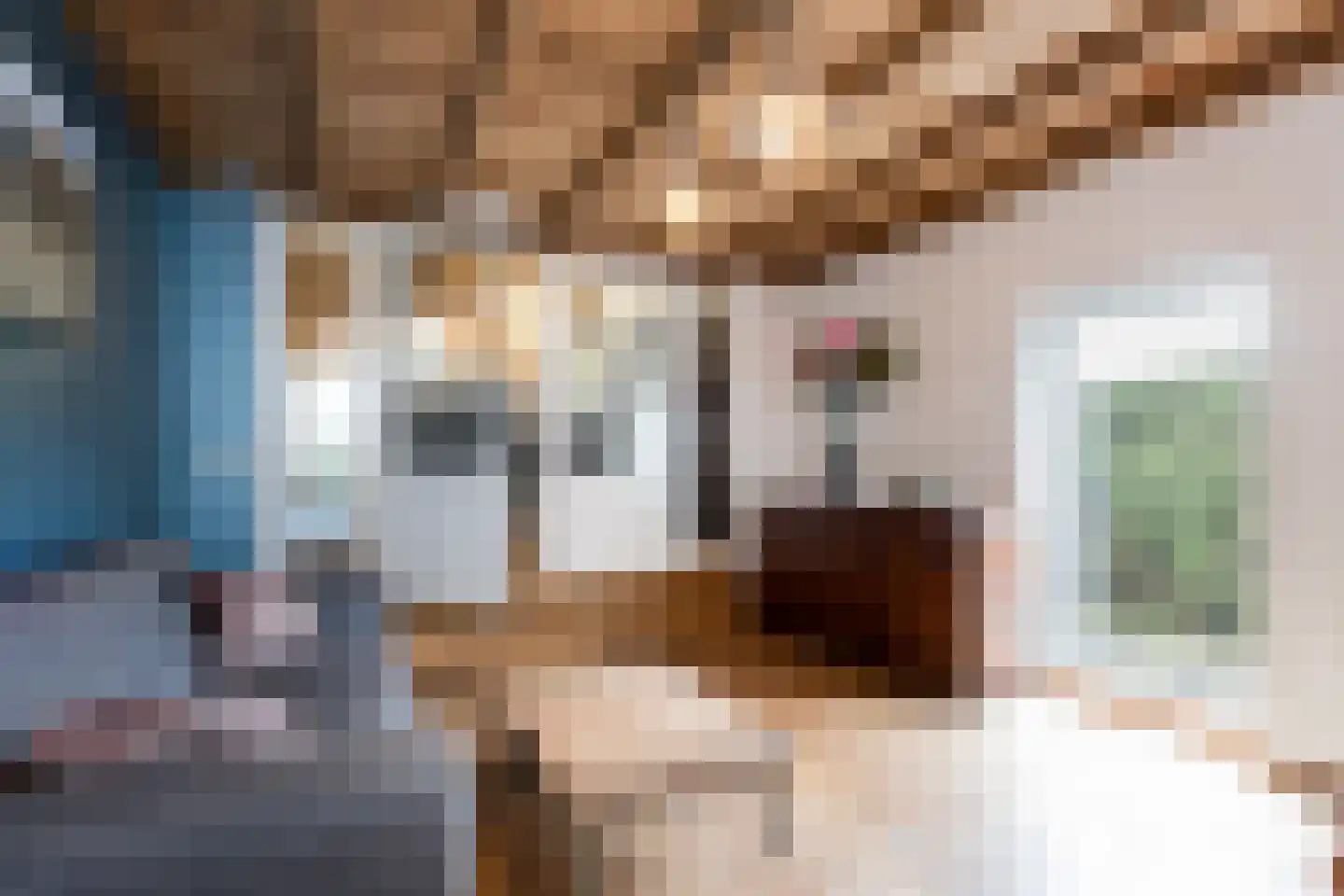 Koningin Emmastraat 4 Andel thumbnail 19