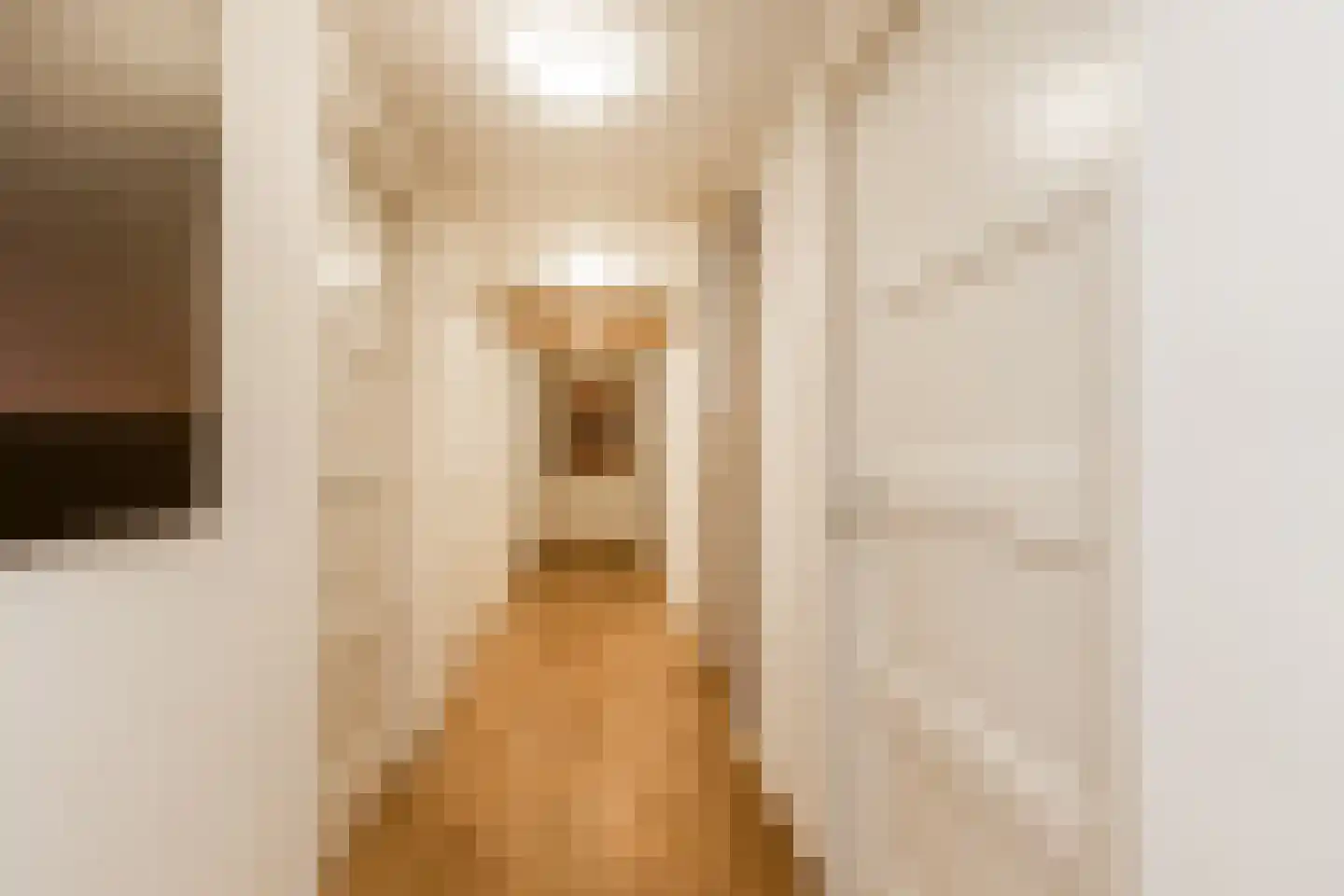 Koningin Emmastraat 4 Andel thumbnail 33