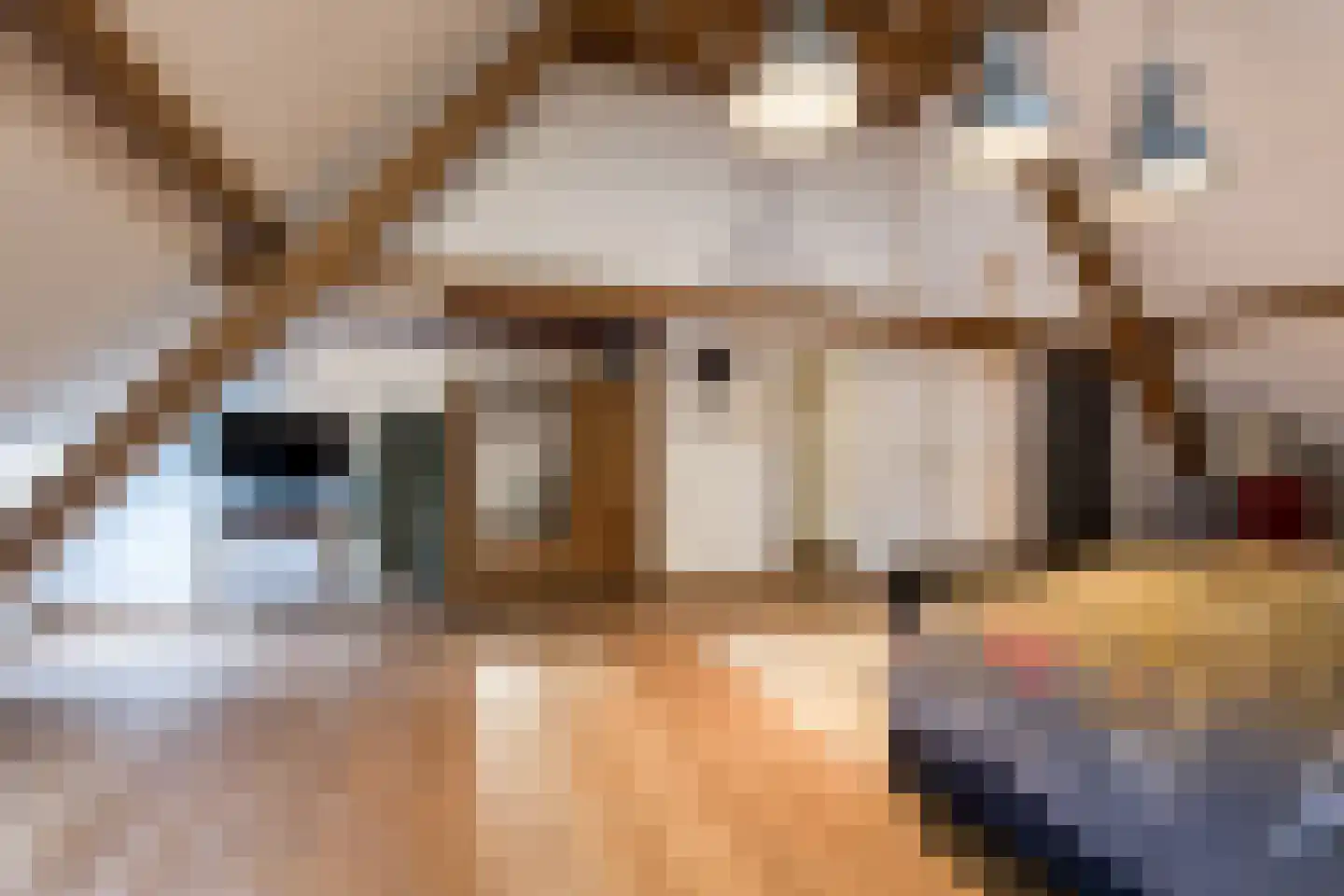 Koningin Emmastraat 4 Andel thumbnail 37