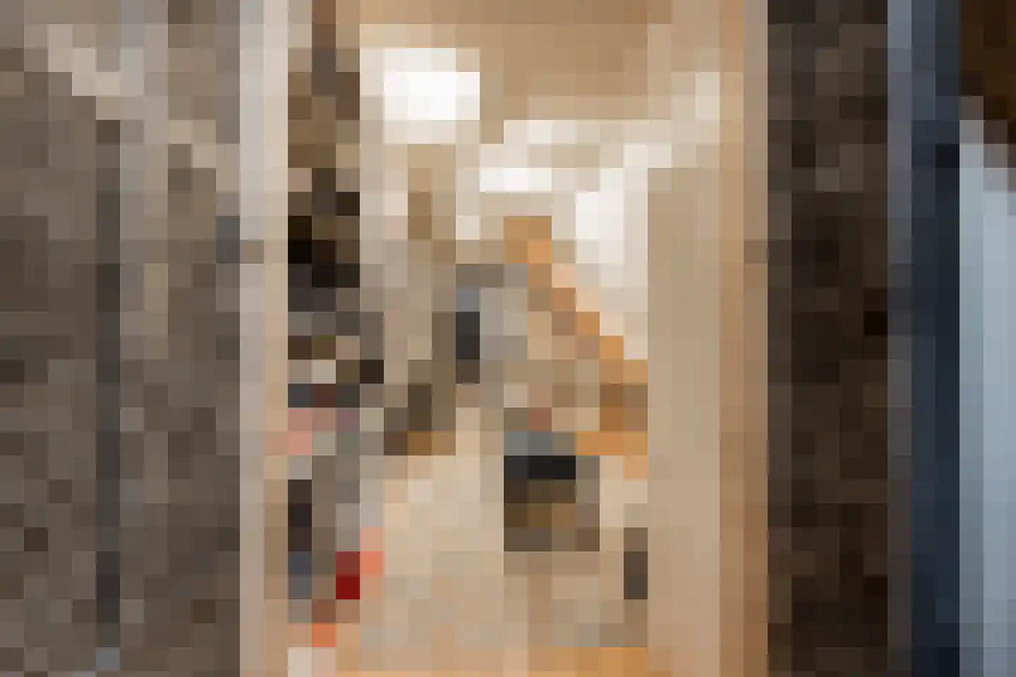 Koningin Emmastraat 4 Andel thumbnail 38