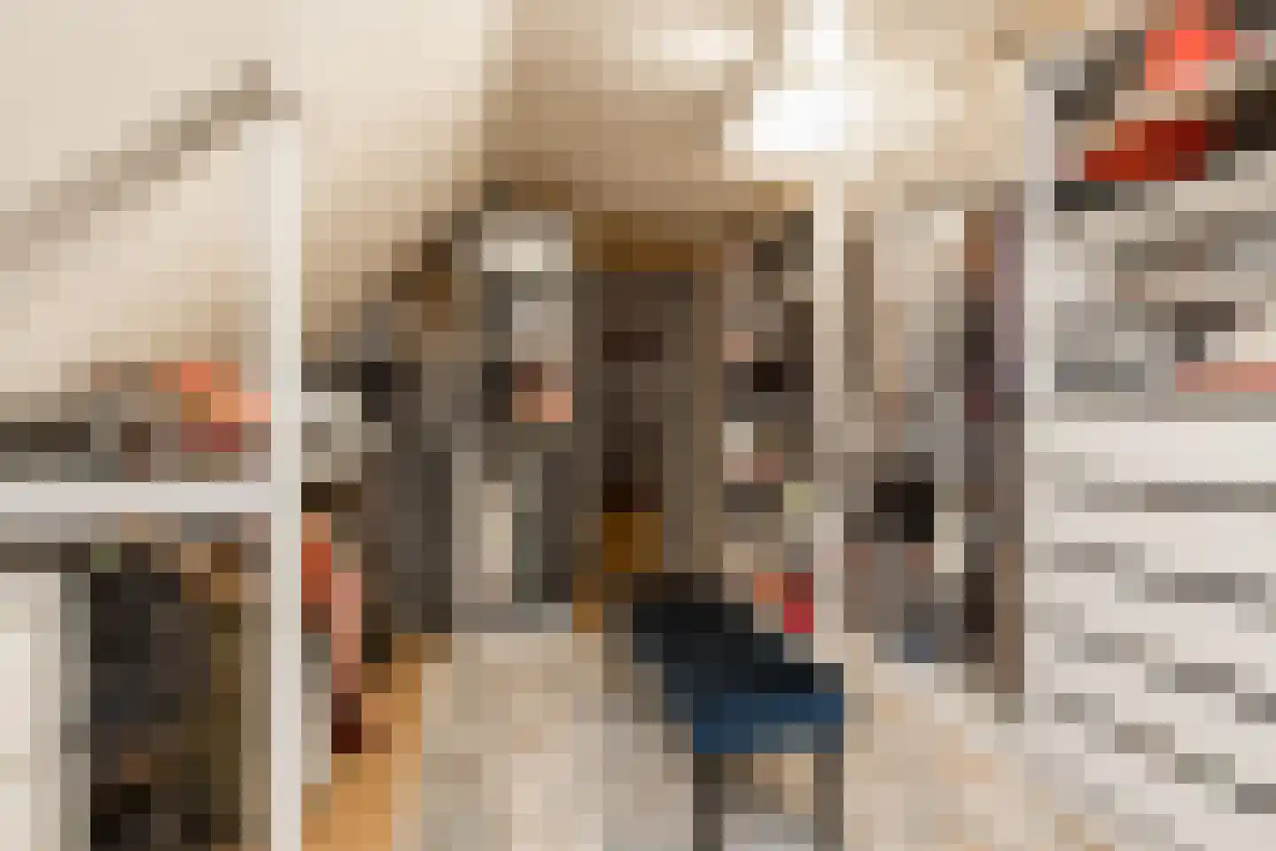Koningin Emmastraat 4 Andel thumbnail 39
