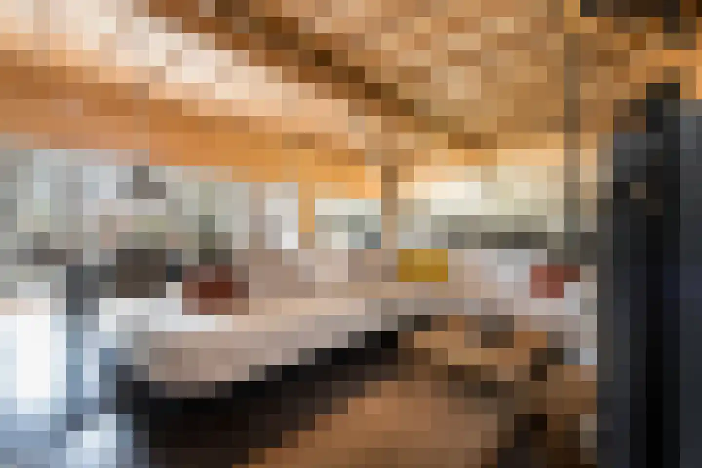 Koningin Emmastraat 4 Andel thumbnail 4