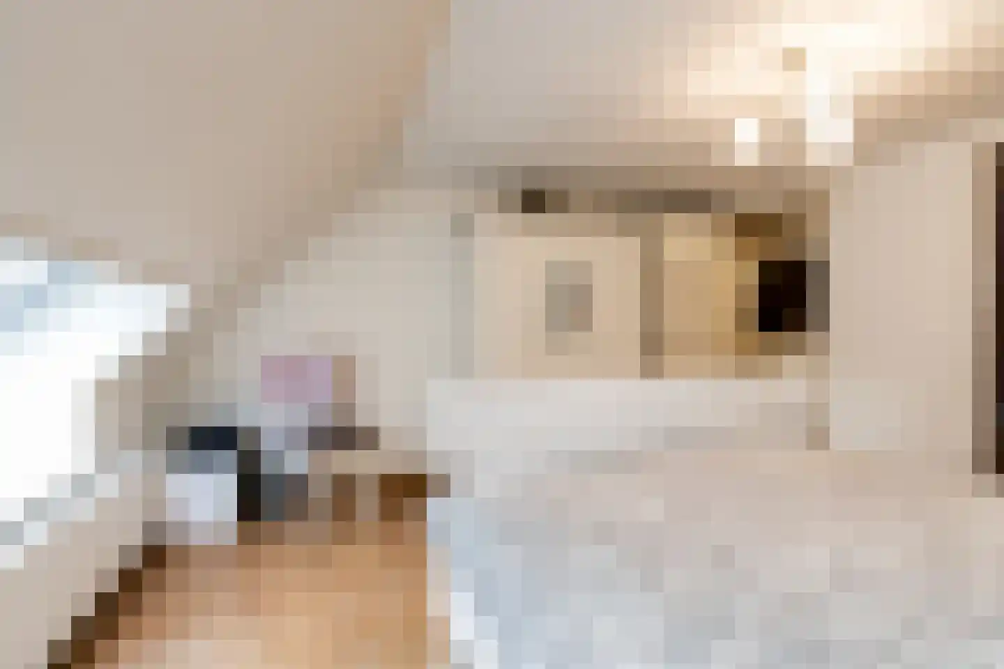 Koningin Emmastraat 4 Andel thumbnail 41