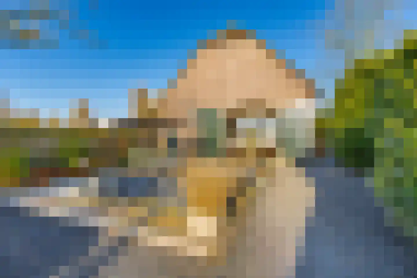 Koningin Emmastraat 4 Andel thumbnail 5