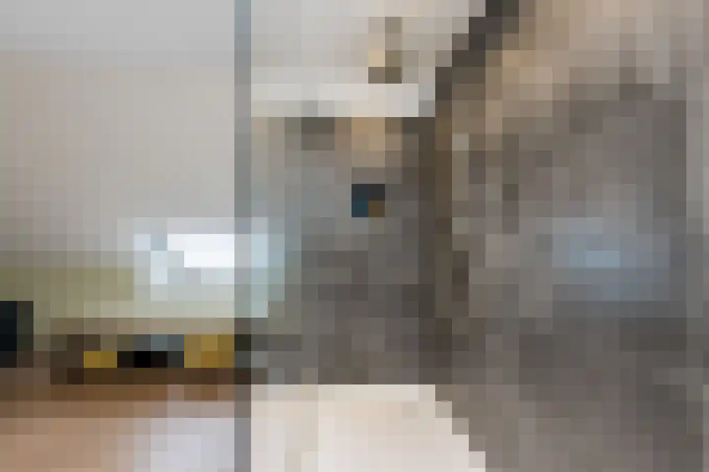 Koningin Emmastraat 4 Andel thumbnail 50