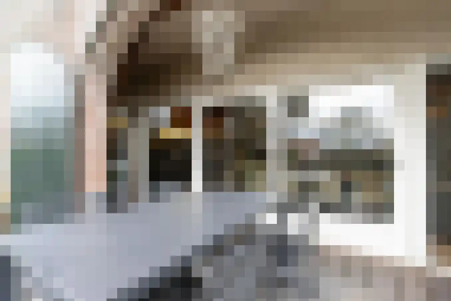 Koningin Emmastraat 4 Andel thumbnail 58