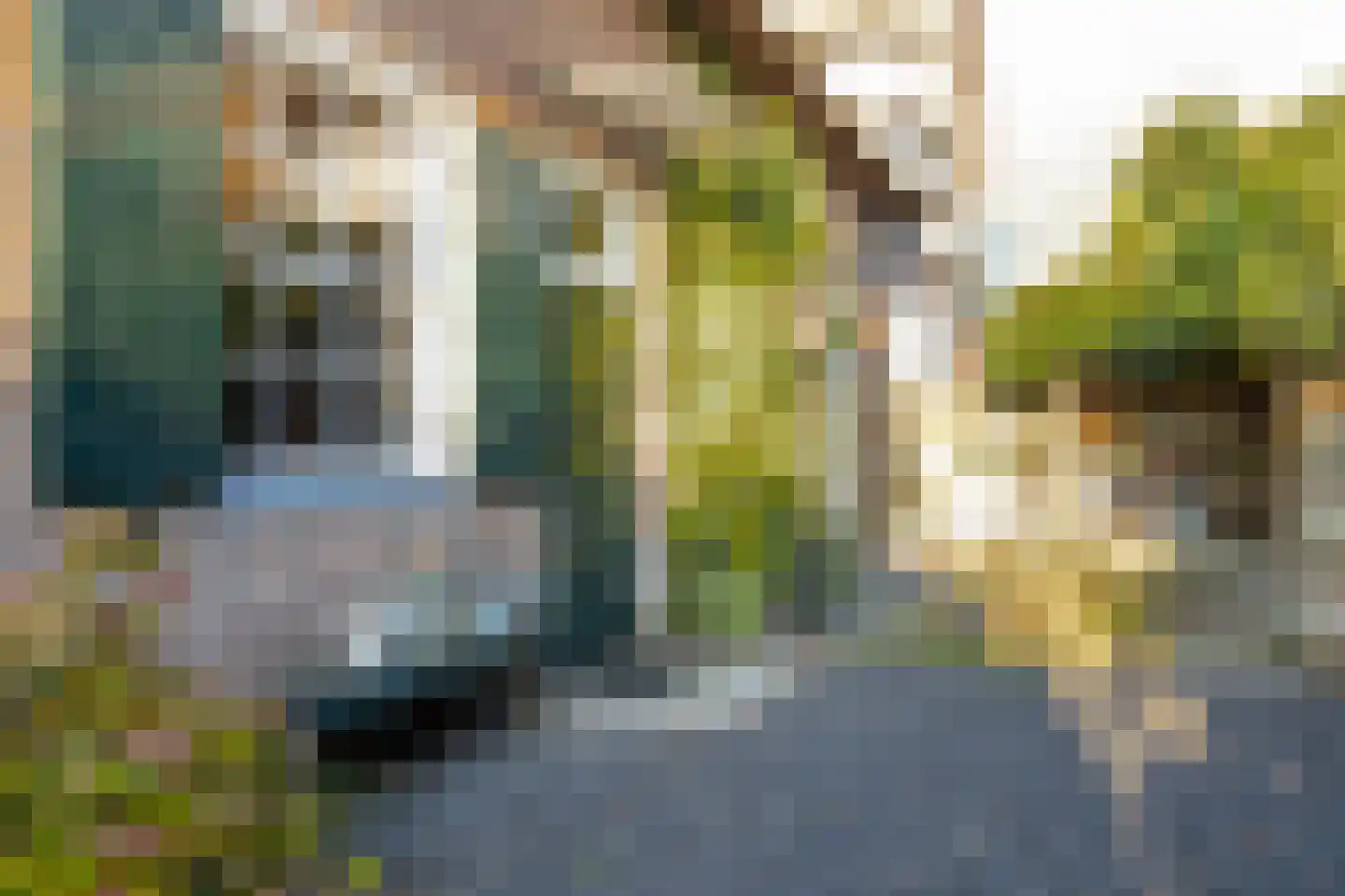 Koningin Emmastraat 4 Andel thumbnail 60