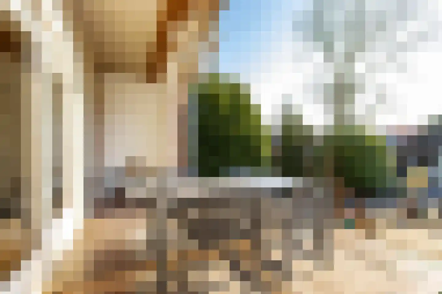 Koningin Emmastraat 4 Andel thumbnail 63