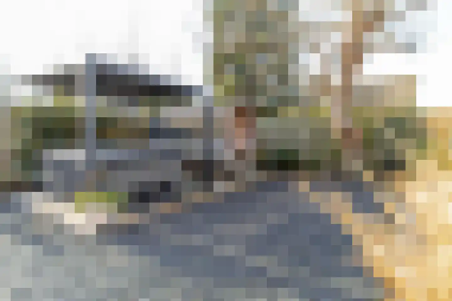 Koningin Emmastraat 4 Andel thumbnail 65