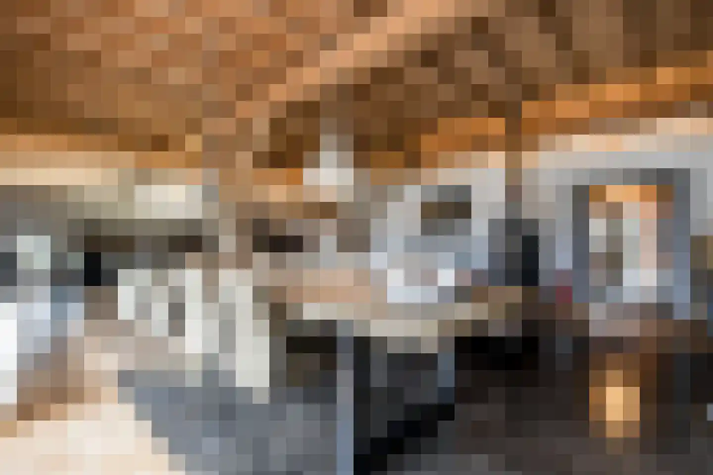 Koningin Emmastraat 4 Andel thumbnail 9