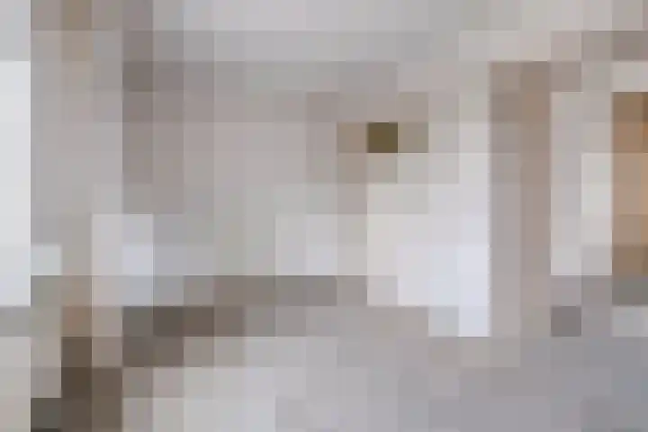Koningin Emmastraat 4 Philippine thumbnail 12