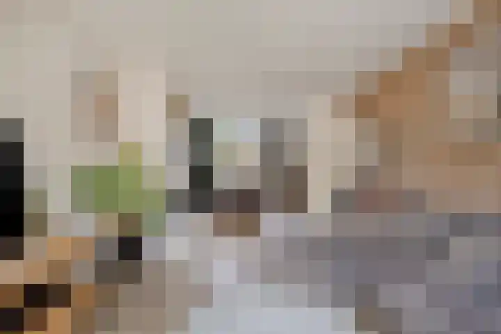 Koningin Emmastraat 5 Breskens thumbnail 4