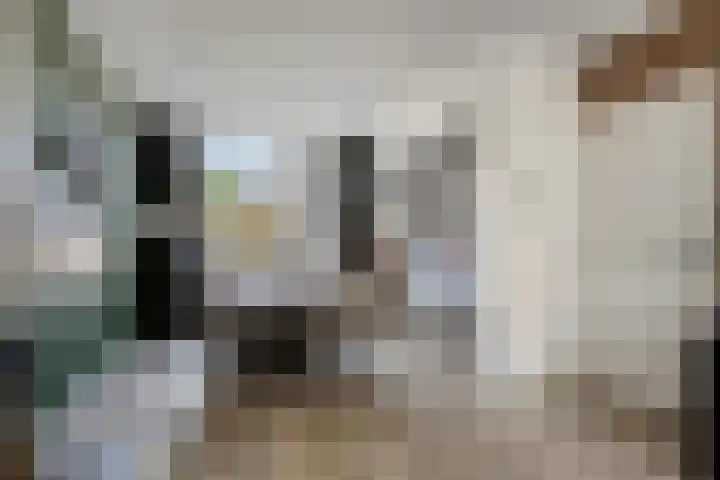 Koningin Emmastraat 5 Breskens thumbnail 5