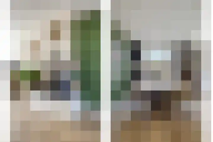 Koningin Emmastraat 5 Breskens thumbnail 7