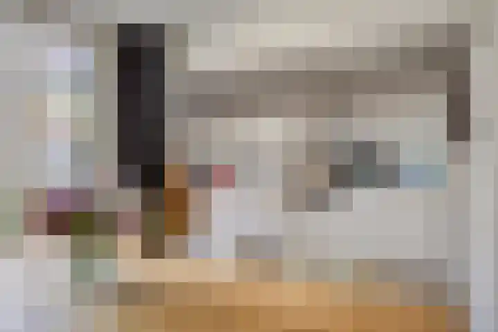 Koningin Emmastraat 5 Breskens thumbnail 8