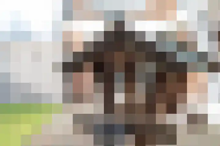 Koningin Emmastraat 5 Varsseveld thumbnail 36