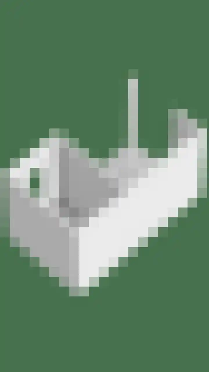Koningin Emmastraat 5 Varsseveld thumbnail 45