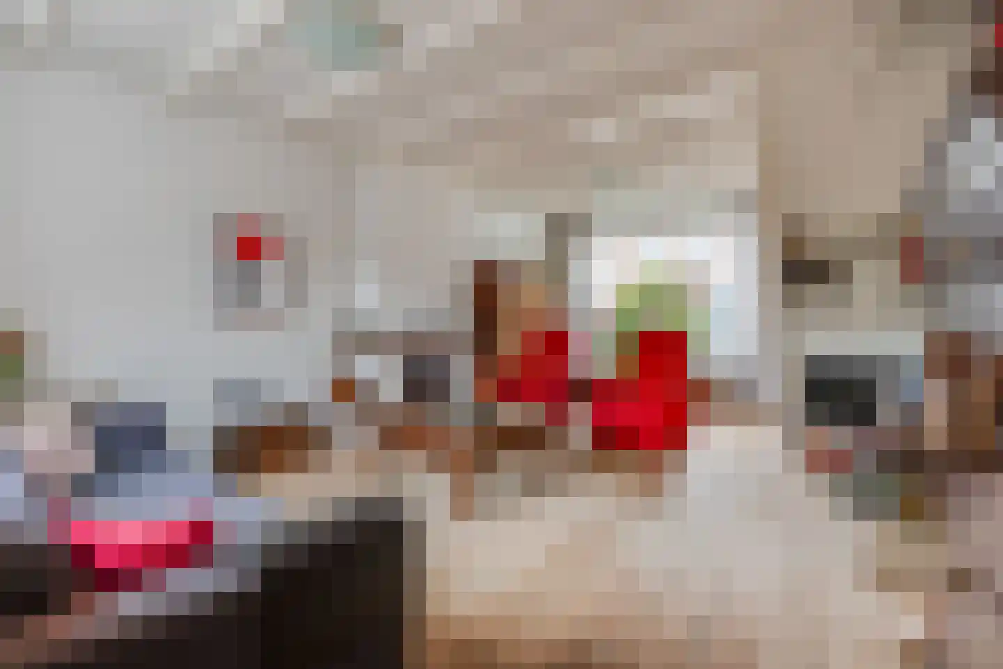Koningin Emmastraat 6 Bunschoten-Spakenburg thumbnail 8