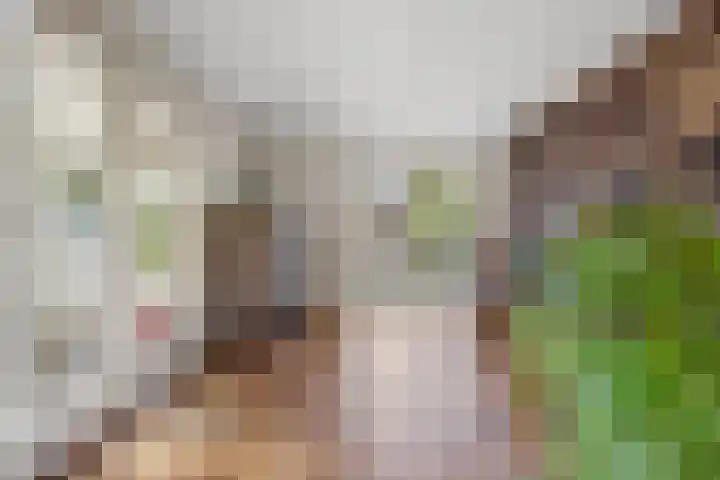 Koningin Emmastraat 6 Drunen thumbnail 10