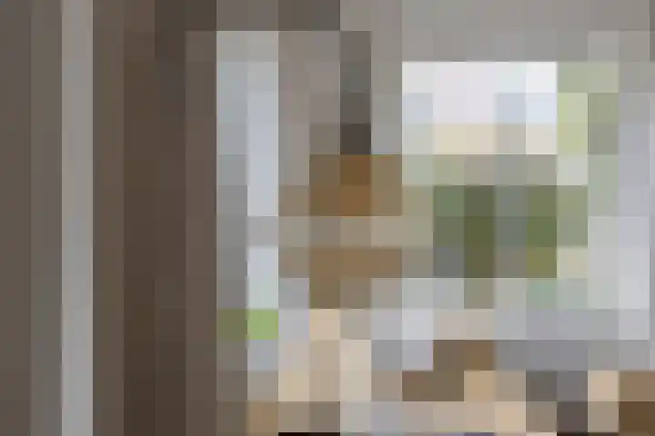 Koningin Emmastraat 6 Drunen thumbnail 12