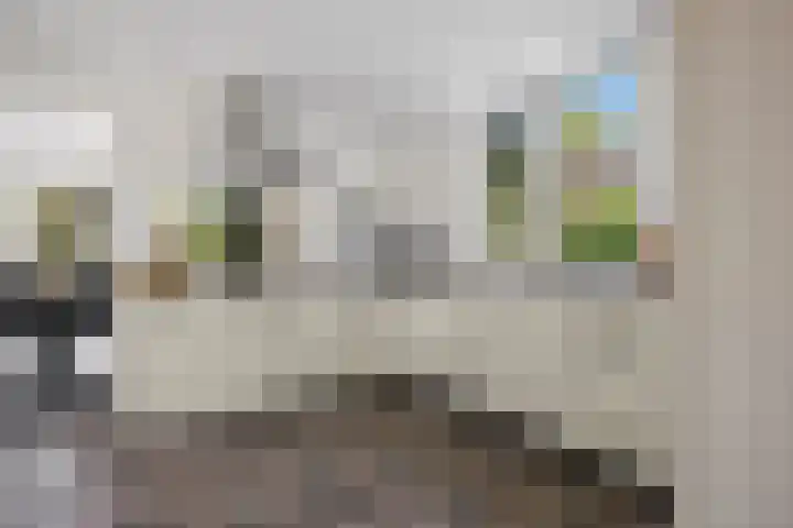 Koningin Emmastraat 6 Drunen thumbnail 14