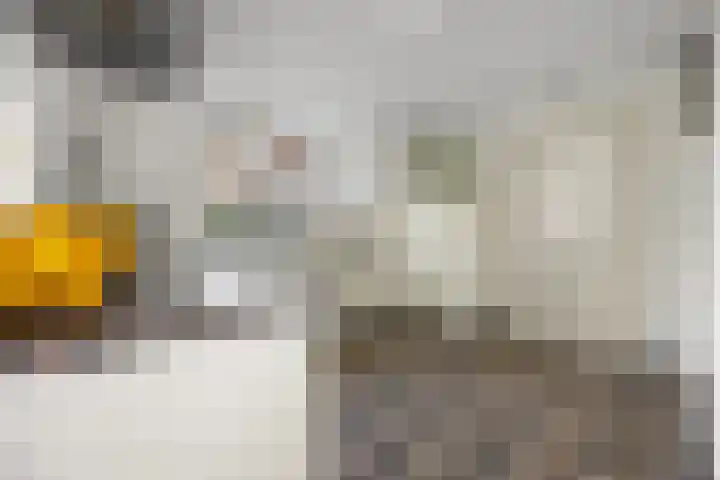 Koningin Emmastraat 6 Drunen thumbnail 16