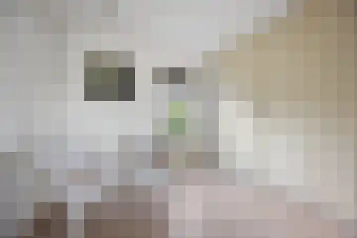 Koningin Emmastraat 6 Drunen thumbnail 27