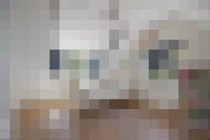 Koningin Emmastraat 6 Drunen thumbnail 34
