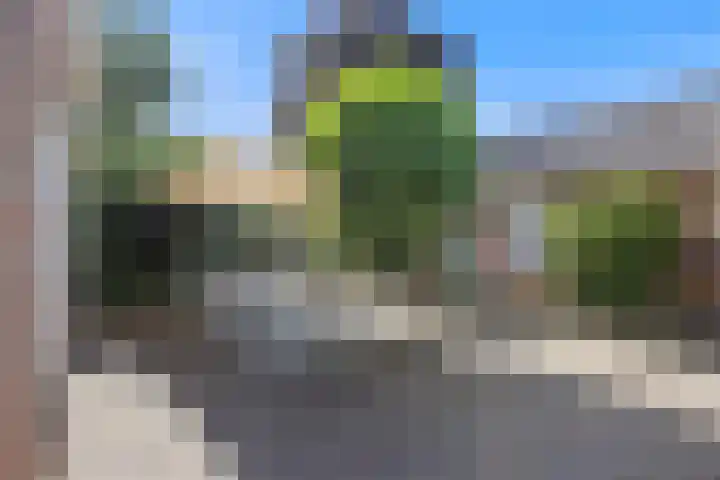 Koningin Emmastraat 6 Drunen thumbnail 43