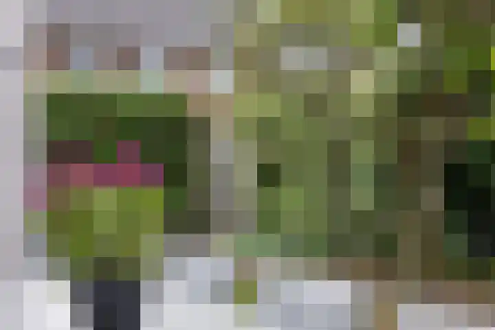 Koningin Emmastraat 6 Drunen thumbnail 45