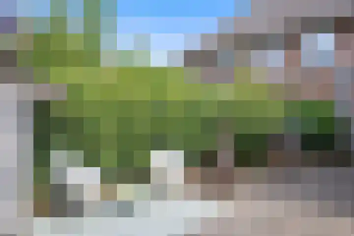 Koningin Emmastraat 6 Drunen thumbnail 48