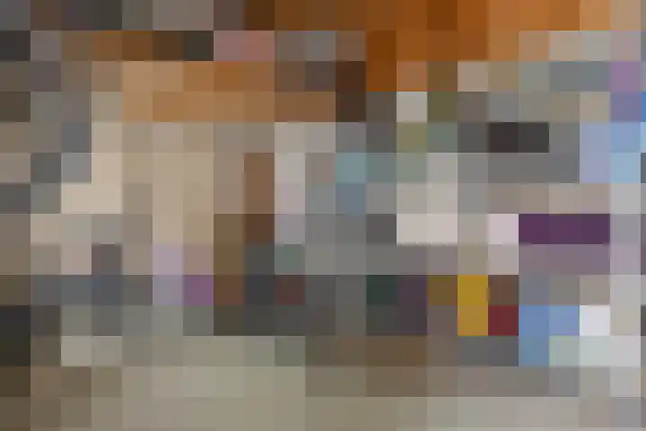 Koningin Emmastraat 6 Drunen thumbnail 52