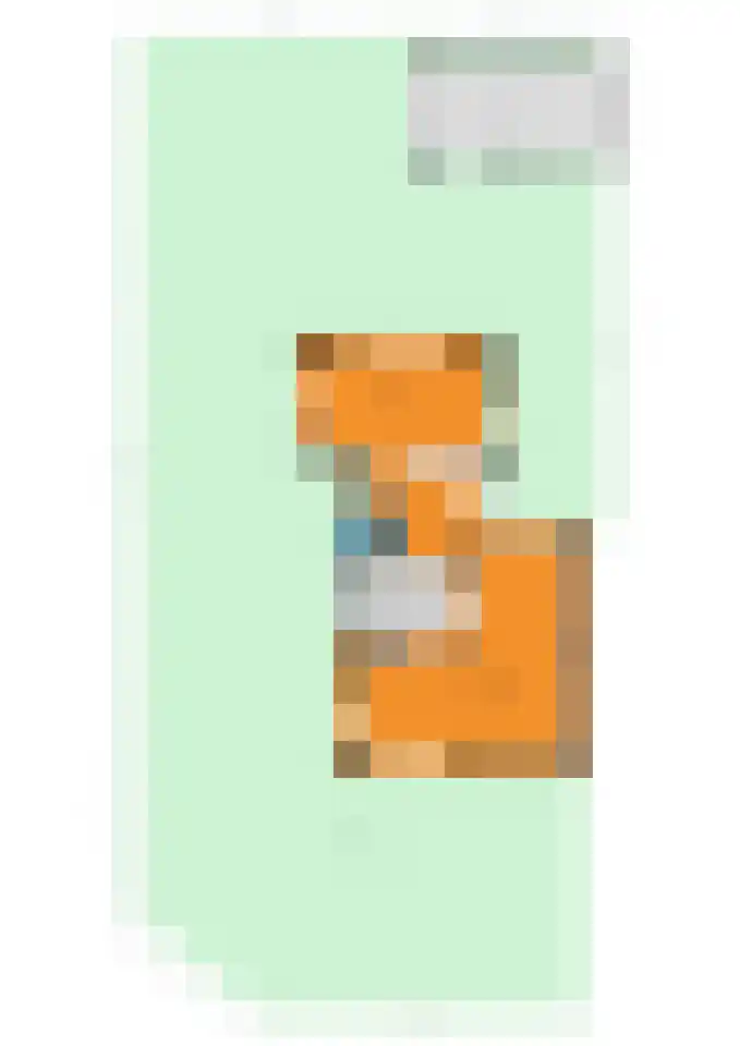 Koningin Emmastraat 6 Drunen thumbnail 62