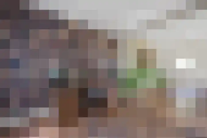 Koningin Emmastraat 6 Drunen thumbnail 9
