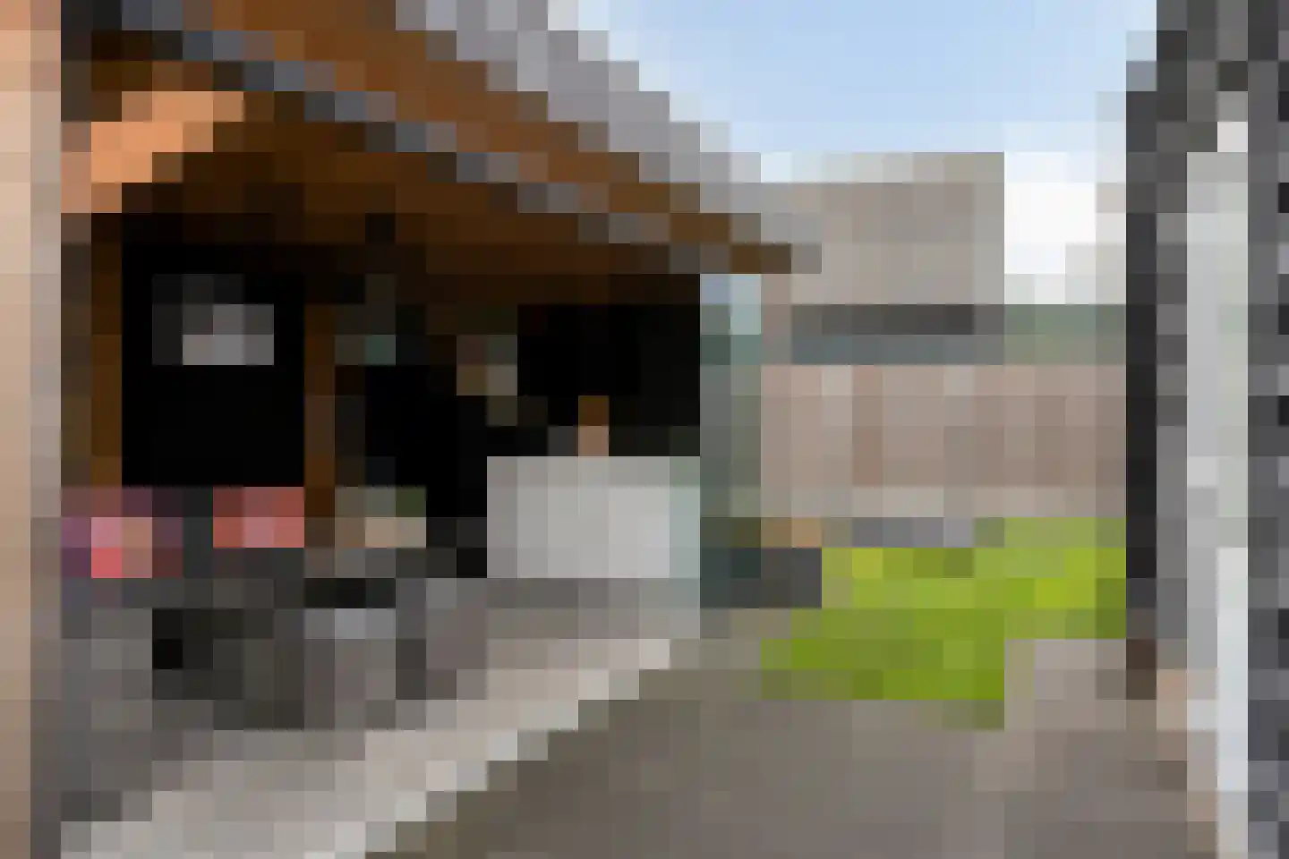 Koningin Emmastraat 7 Aalst thumbnail 32